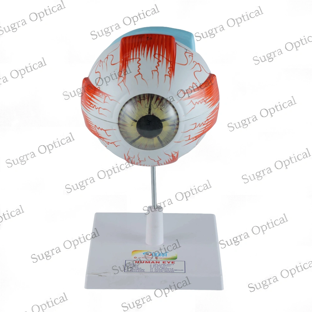 Artificial Eyes